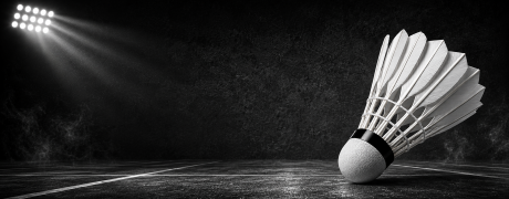 AREX_Badminton_Light_Banner_1380x540